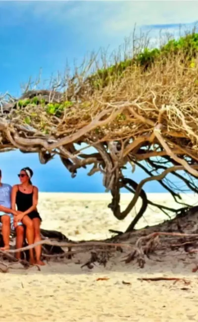 arvore-da-preguica-jeri-20222154-1-1